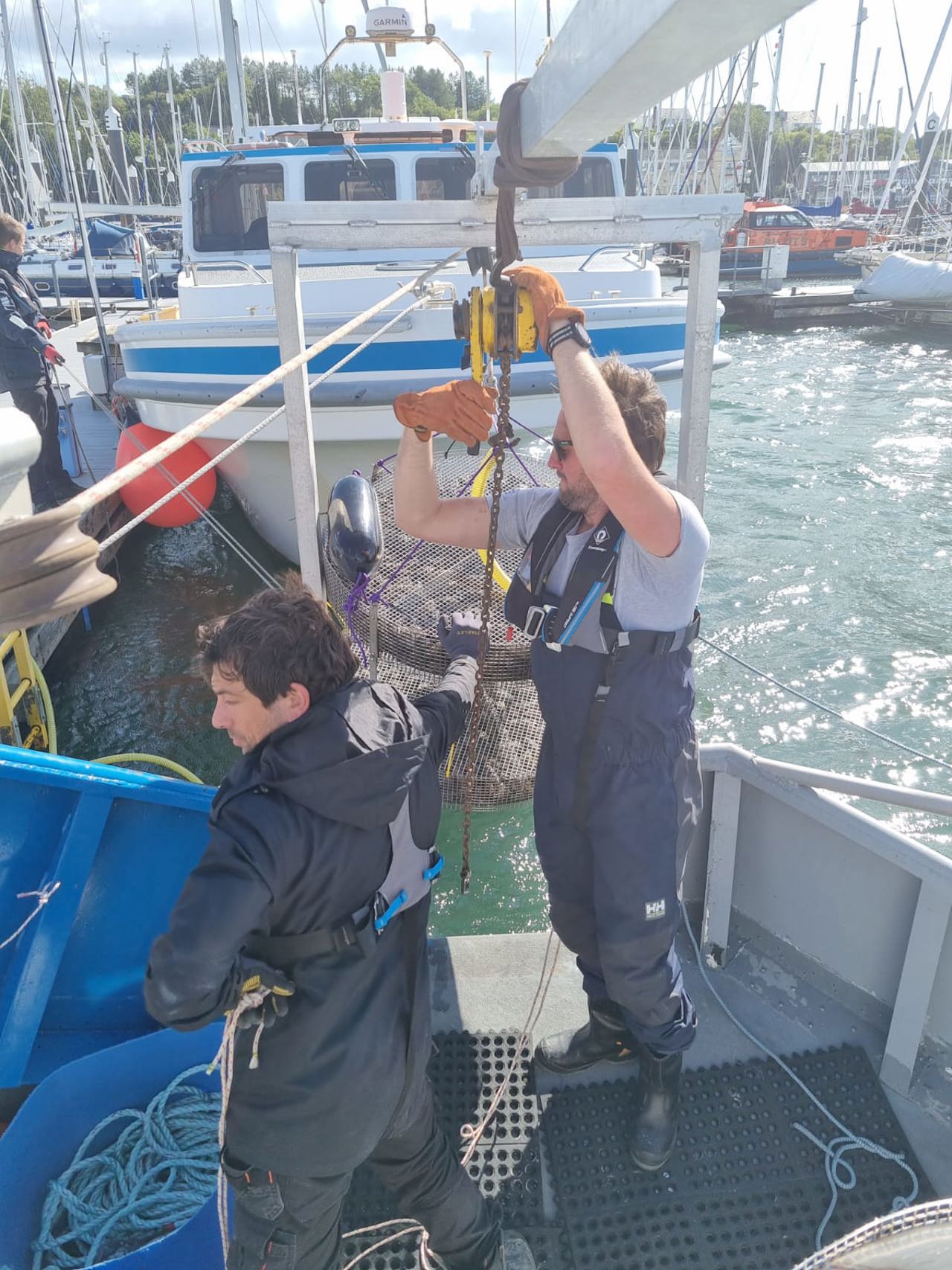 Mussel Raft Microplastic Yacht Havens support microplastic research project in Plymouth | News
