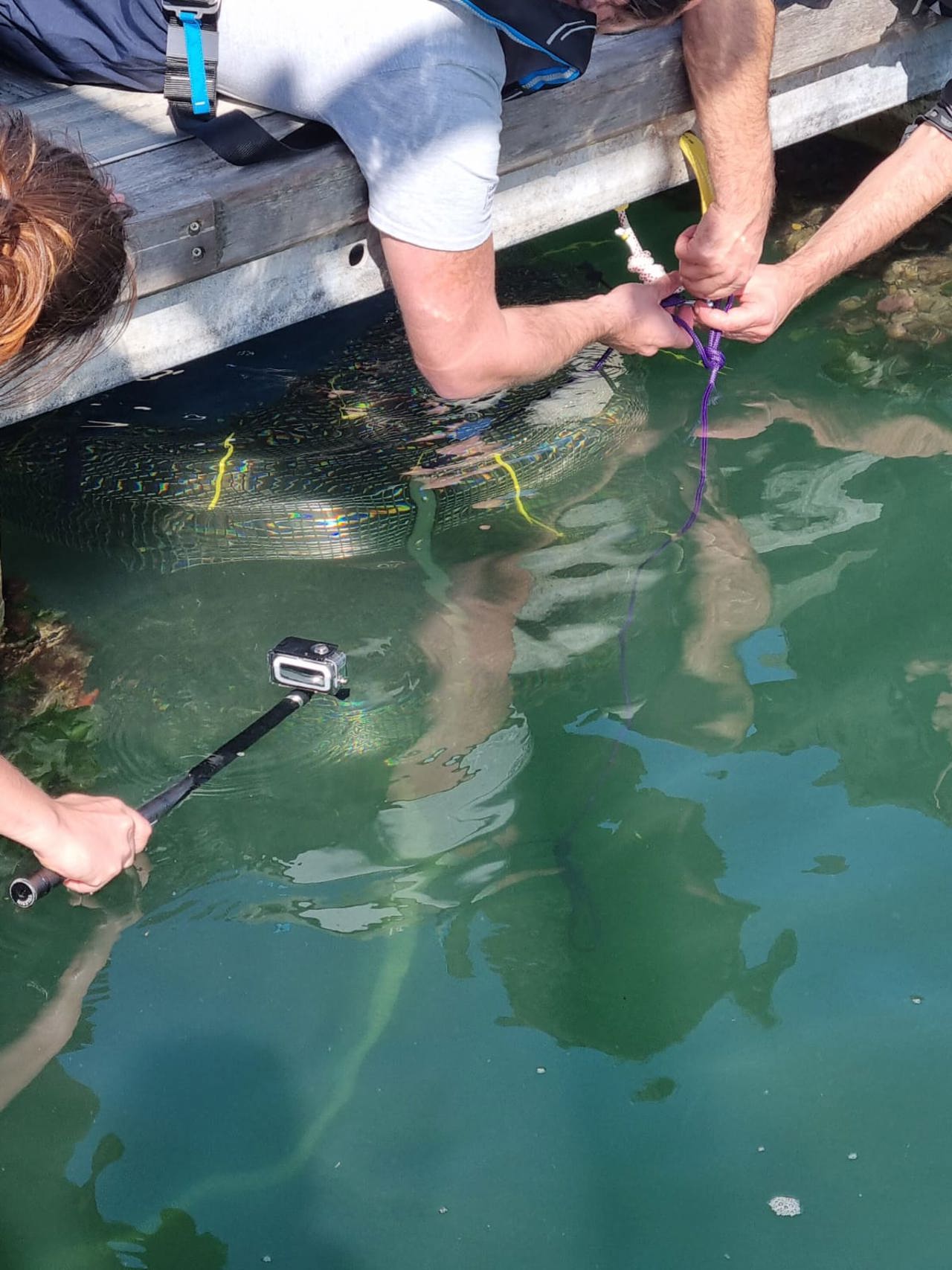 Yacht Havens support microplastic research project in Plymouth | News